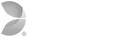 evolution gaming