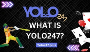 yolo247