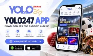 Yolo247 Platform Guide 2026
